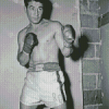 Rocky Graziano Diamond Painting