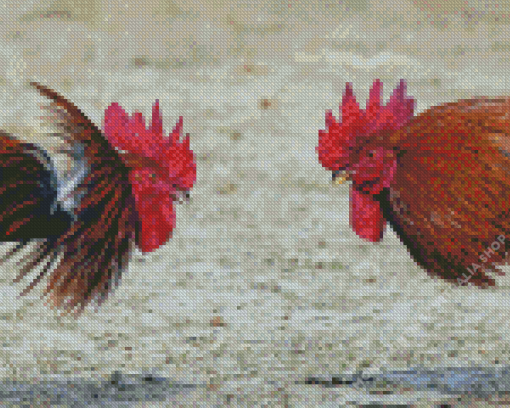 Rooster Fighting Diamond Painting