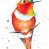 Rufous Hummingbird Splatter Art Diamond Painting