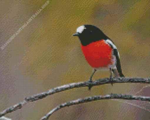 Scarlet Robin On Stick Diamond Painting