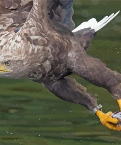 Sea Eagle Catching Fish Diamond Painting