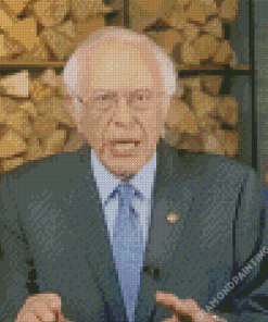 Senator Bernie Sanders Diamond Painting