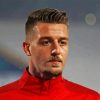 Sergej Milinkovic Savic Diamond Painting