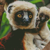 Sifakas Diamond Painting