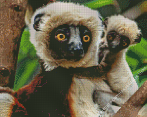 Sifakas Diamond Painting