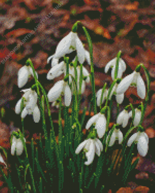 Snowdrop Flower Diamond Painting