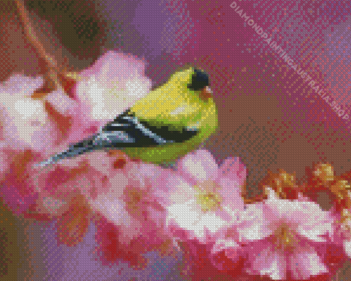 Spring Goldfinch Bird Diamond Painting