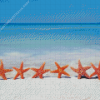 Starfish On Beach Sand Diamond Painting