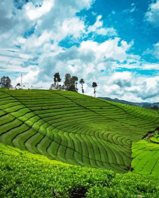 Tea Fields Diamond Painting