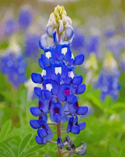 Texas Bluebonnets Flower Diamond Painting