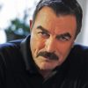 The Actor Tom Selleck Diamond Painting