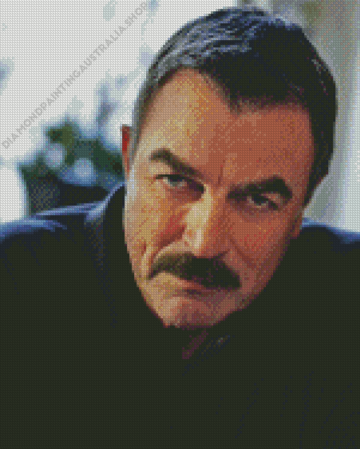 The Actor Tom Selleck Diamond Painting