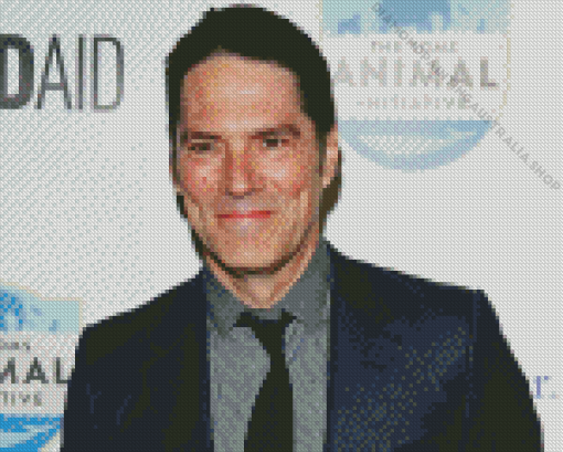 Thomas Gibson Diamond Painting