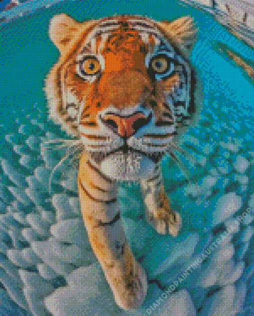 Tiger In Pool Of Water Diamond Painting