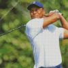 Tiger Woods Diamond Painting