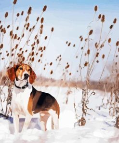 Treeing Walker Coonhound Diamond Painting