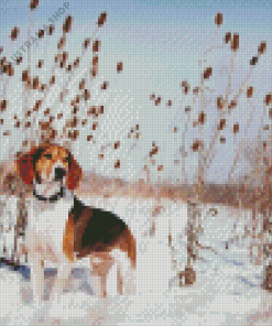 Treeing Walker Coonhound Diamond Painting