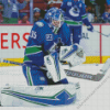 Vancouver Canucks Hockey Player Diamond Painting