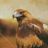 Wedge Tailed Eagle Diamond Painting