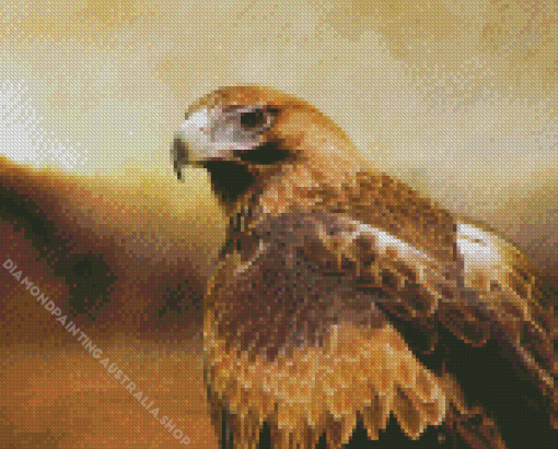 Wedge Tailed Eagle Diamond Painting