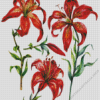 Western Red Lilies Art Diamond Painting