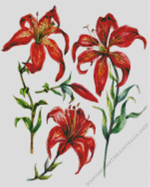 Western Red Lilies Art Diamond Painting