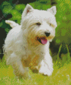 White Scottish Highland Terrier Diamond Painting