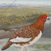 Willow Ptarmigan Bird Art Diamond Painting