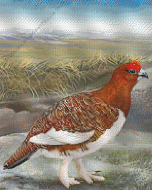 Willow Ptarmigan Bird Art Diamond Painting