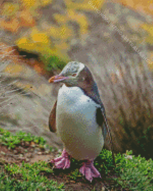 Yellow Eyed Penguin Diamond Painting