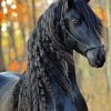 Beautiful Black Friesian Horse Diamond Painting