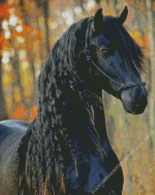 Beautiful Black Friesian Horse Diamond Painting