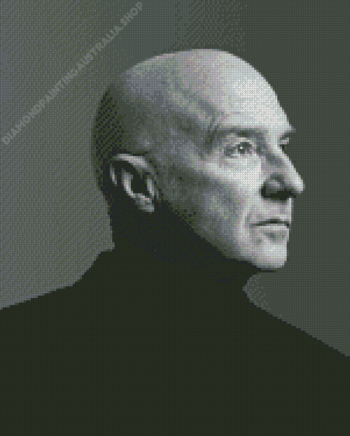 Black And White Midge Ure Diamond Painting