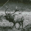 Black And White Elk Diamond Painting