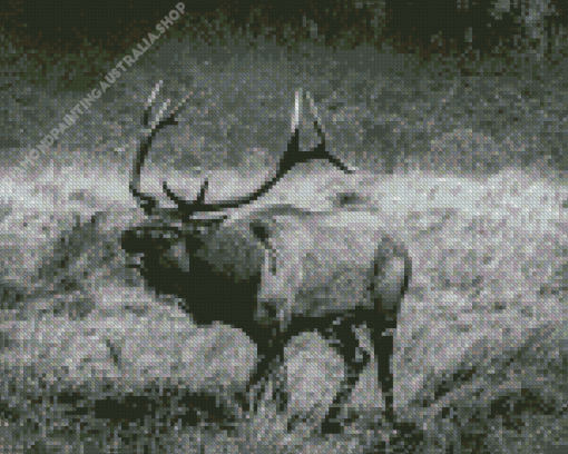 Black And White Elk Diamond Painting