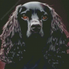 Black English Spaniel Diamond Painting