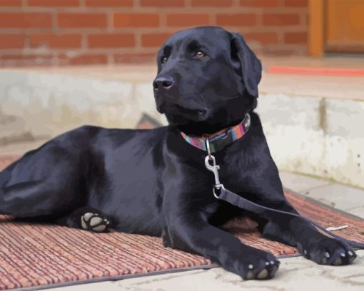 Black Labrador Retriever Dog Diamond Painting