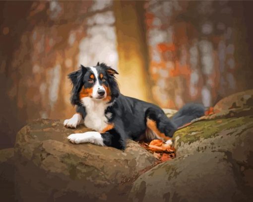 Black Tri Australian Shepherd Animal Diamond Painting