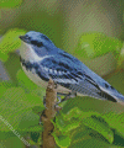 Blue Cerulean Warbler Diamond Painting