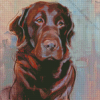 Brown Labrador Retriever Art Diamond Painting