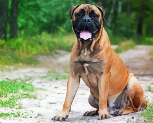 Bullmastiff Diamond Painting