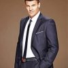 Classy David Boreanaz Diamond Painting