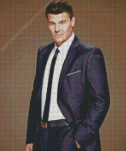 Classy David Boreanaz Diamond Painting