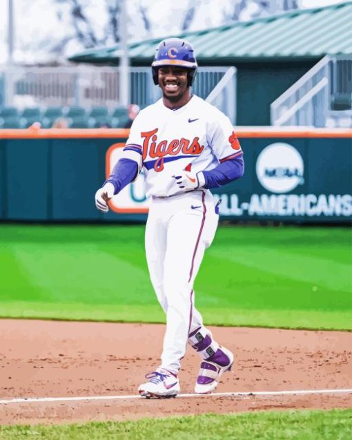 Clemson University Baseballer Diamond Painting