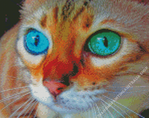 Close Up Cat Diamond Painting