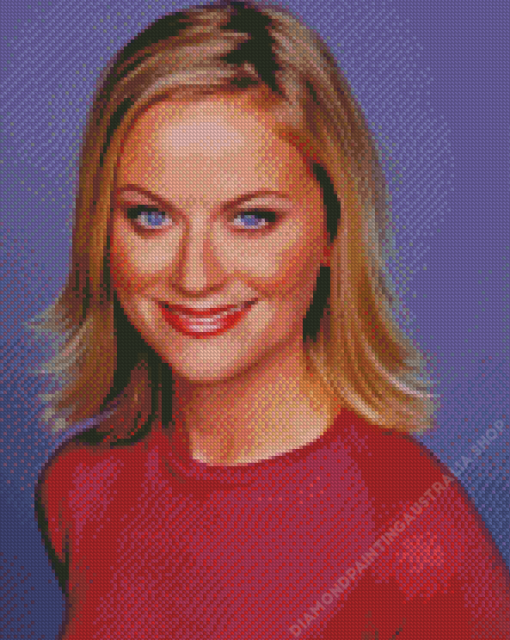 Comedian Amy Poehler Diamond Painting