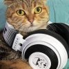 Cool Cat Wearing Headphones Diamond Painting