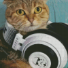 Cool Cat Wearing Headphones Diamond Painting