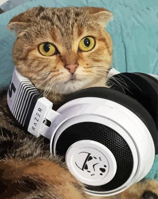 Cool Cat Wearing Headphones Diamond Painting