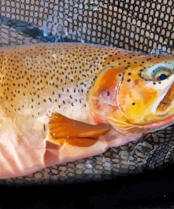 Cutthroat Trout Diamond Painting